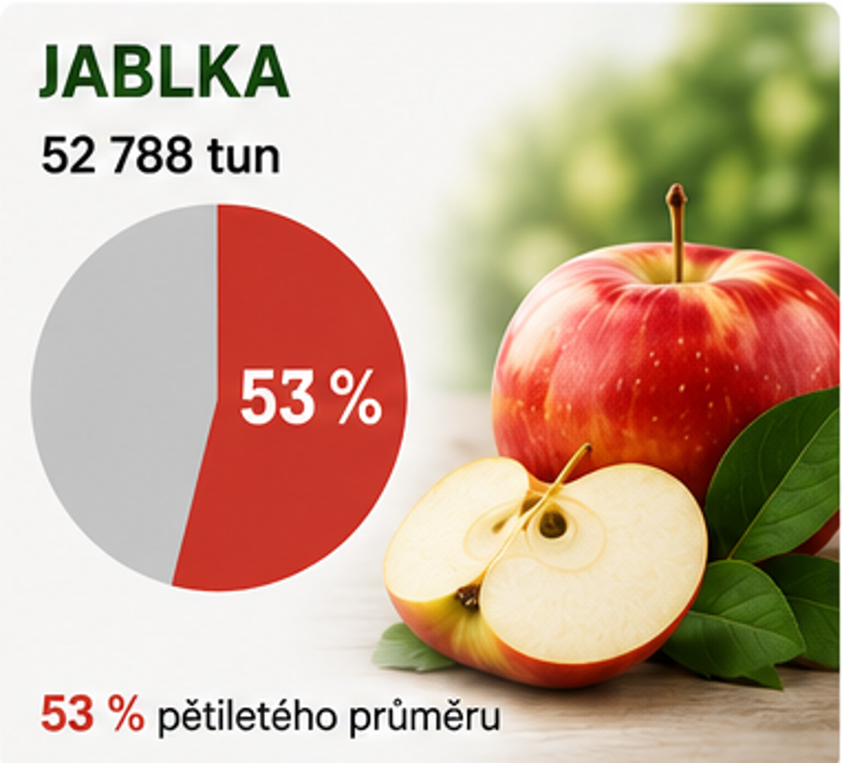Ovoce úroda
