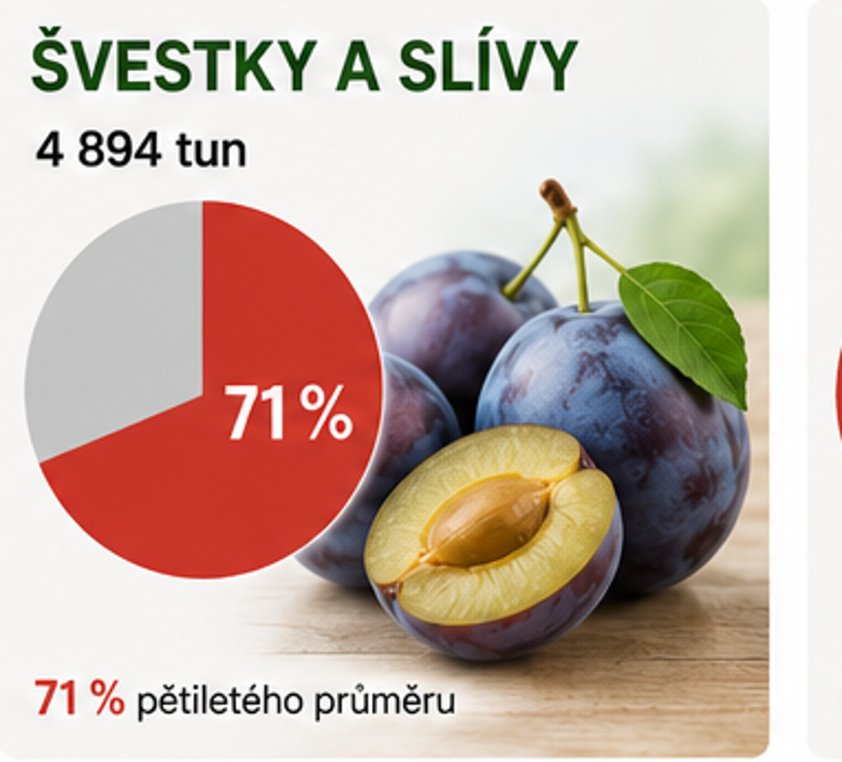 Ovoce úroda