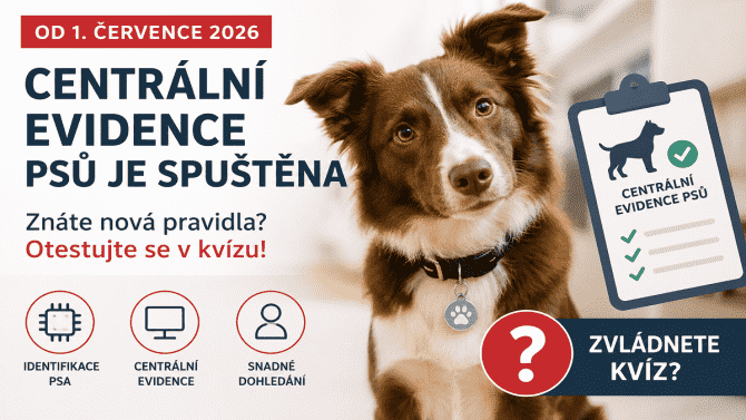 Centrální evidence psů