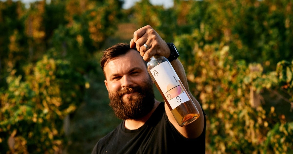 Vojta Bystřický ve vinohradě