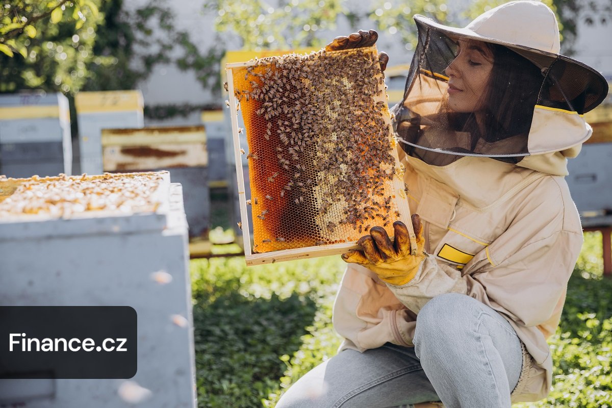 Včelaři dostanou víc peněz. Stát jim navýší dotace o 15 %